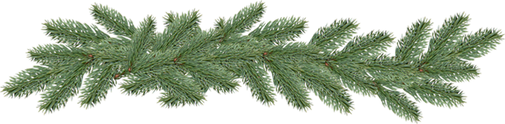 spruce-andantage